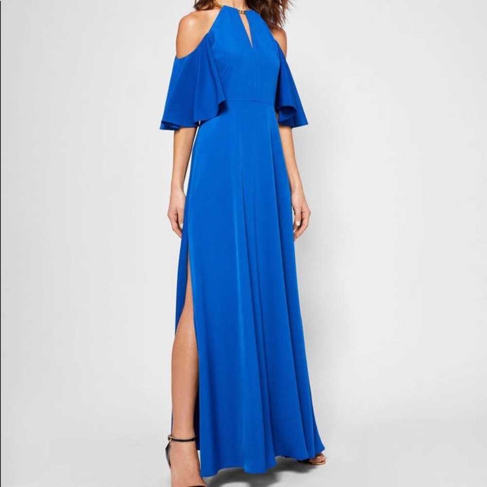 NWT Ted Baker London Maxi Dress
